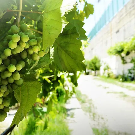 Apartment Sky-line Afantou