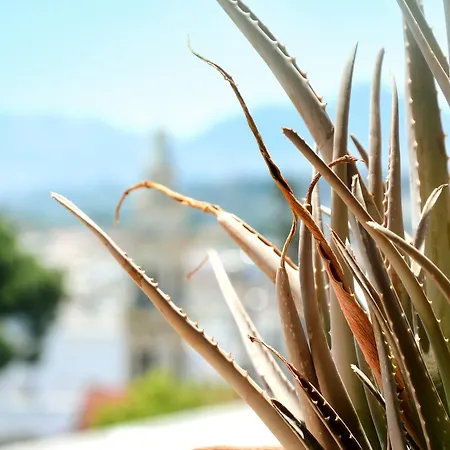 Sky-line Apartment *