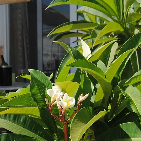 Sky-line Apartamento