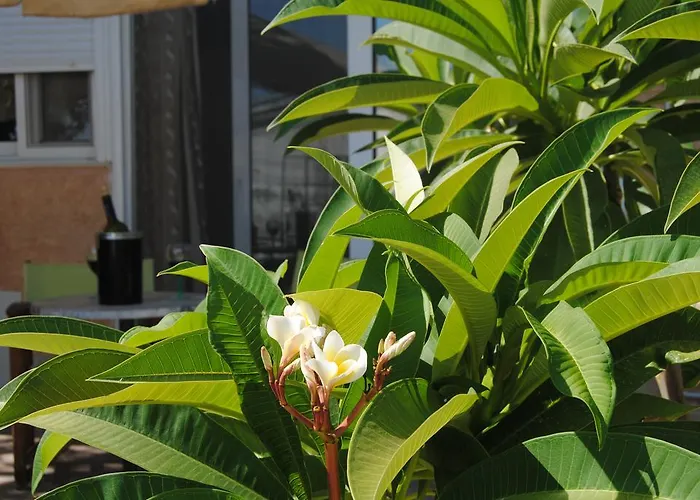 Sky-line Apartamento