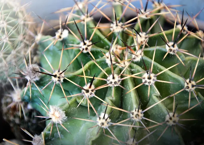 Apartamento Sky-line *