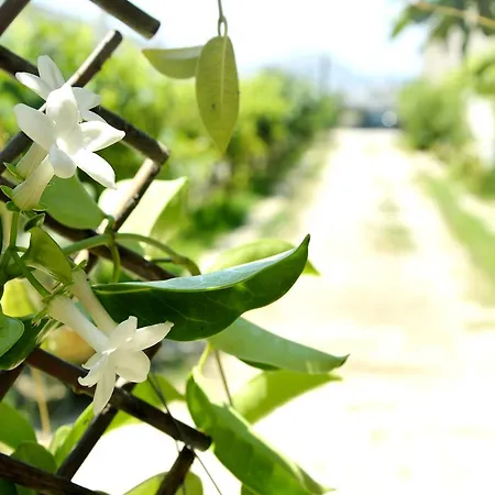 Appartamento Sky-line