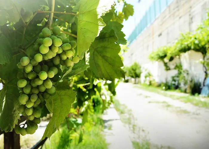 Daire Sky-line Afantou